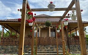 Casa Eden Fit